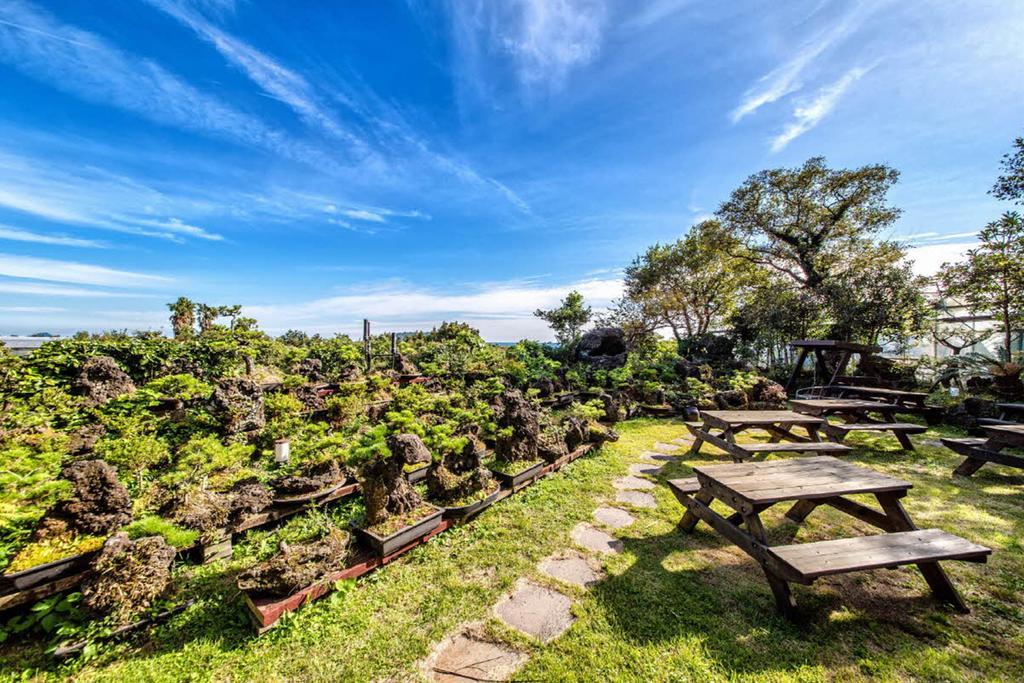 Olleyo Resort Seogwipo Eksteriør bilde