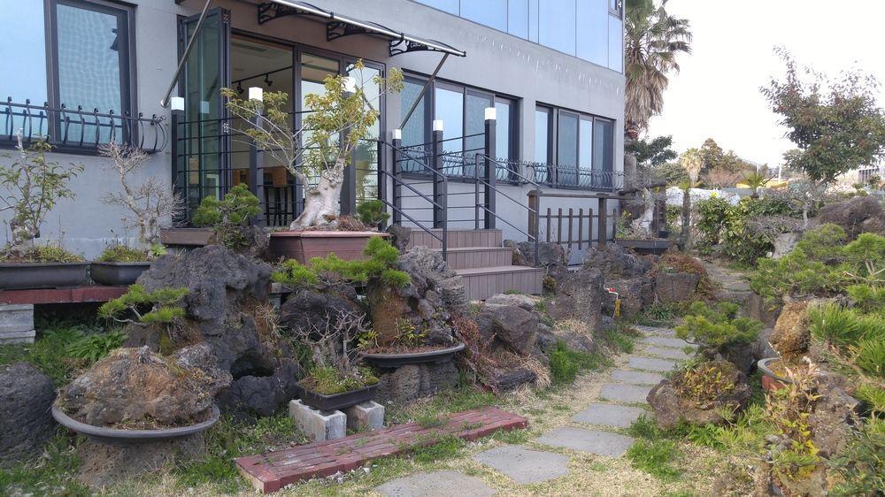 Olleyo Resort Seogwipo Eksteriør bilde