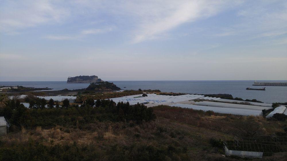 Olleyo Resort Seogwipo Eksteriør bilde