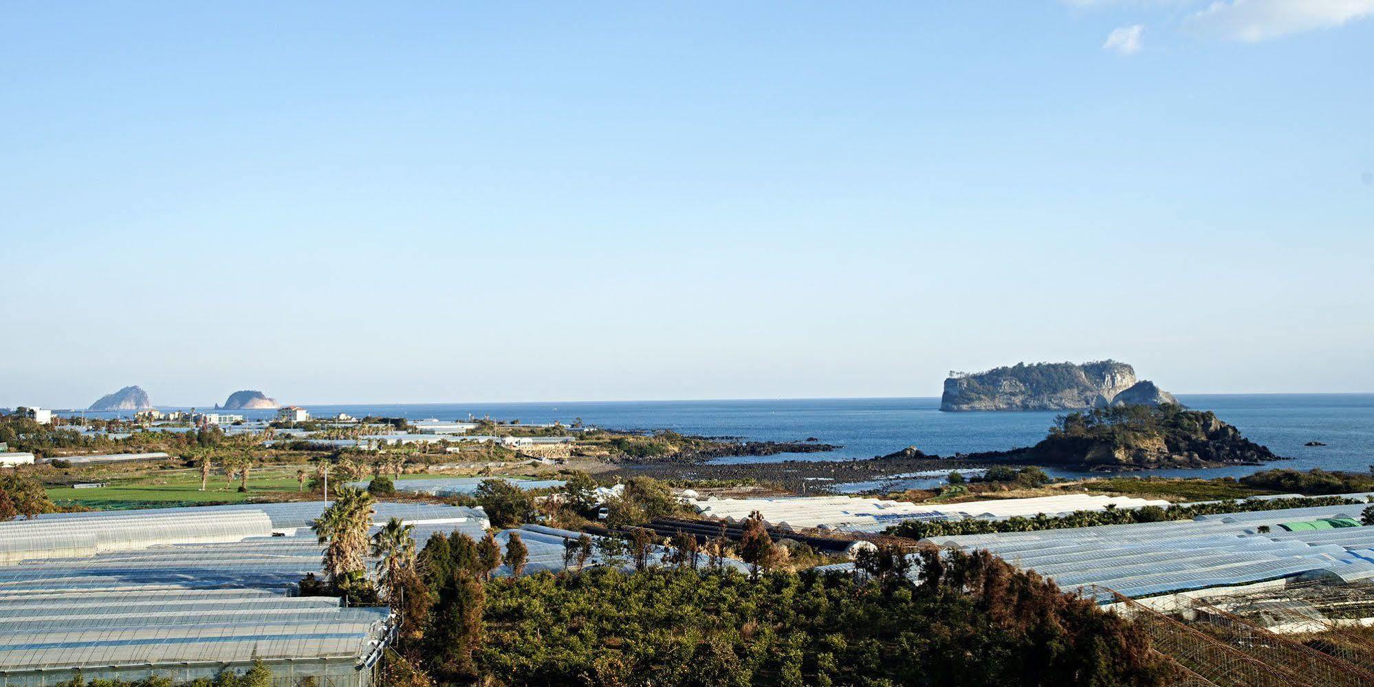 Olleyo Resort Seogwipo Eksteriør bilde